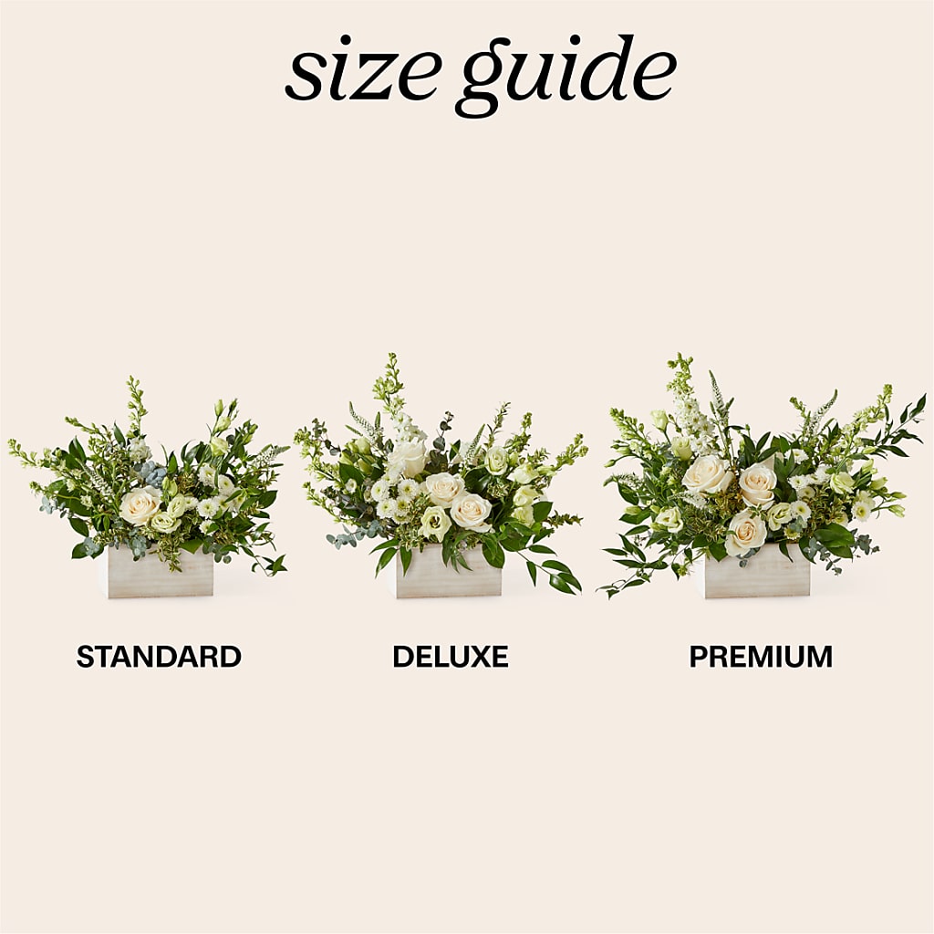 Cashmere Bouquet –  Maroa Miami Llc, Miami FL
