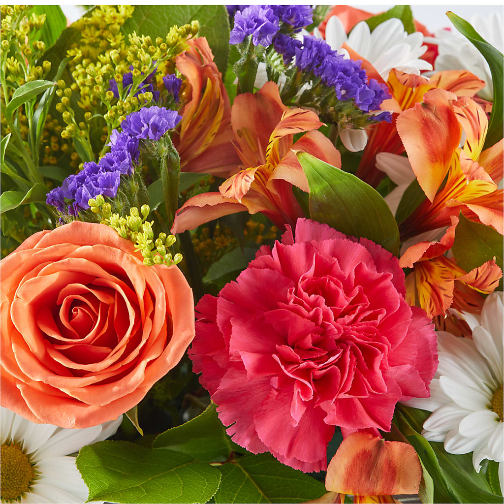 Oopsie Daisy Box Bouquet –  Maroa Miami Llc, Miami FL
