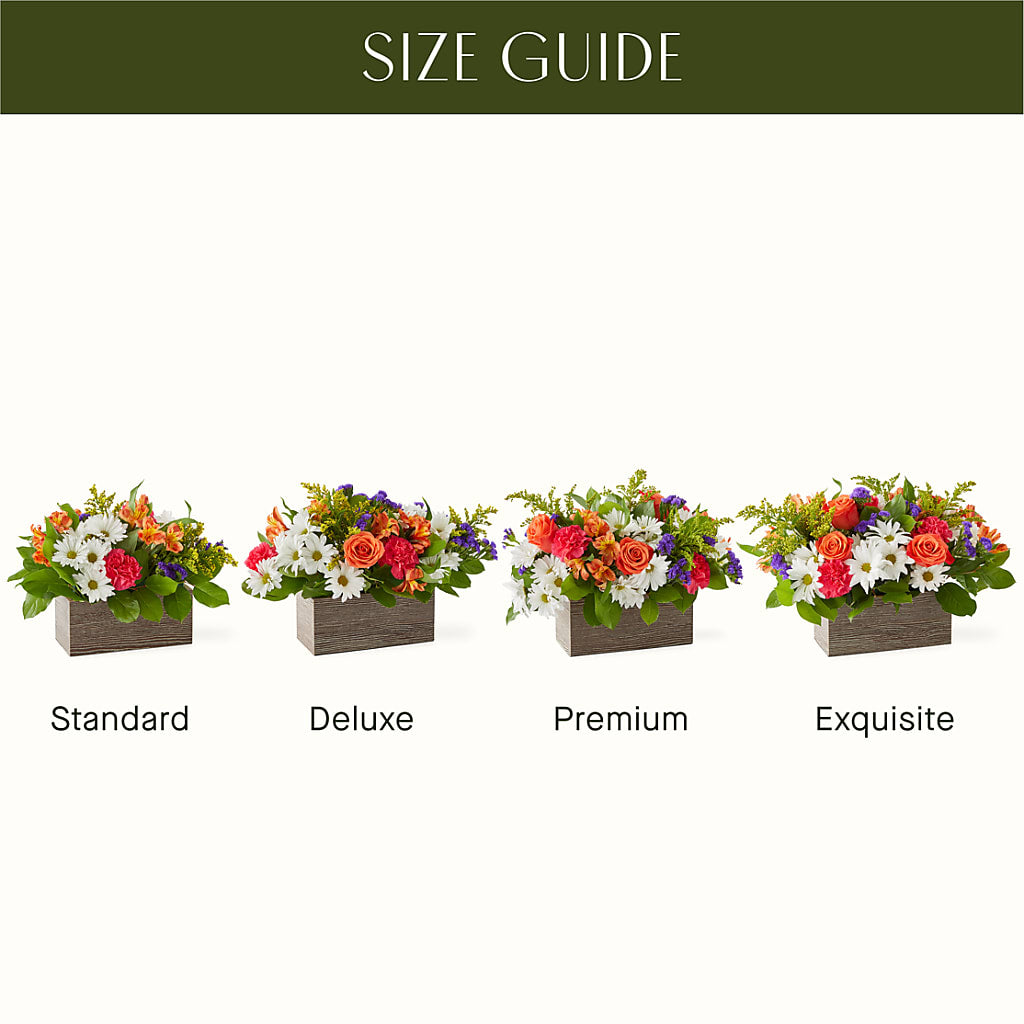 Oopsie Daisy Box Bouquet –  Maroa Miami Llc, Miami FL