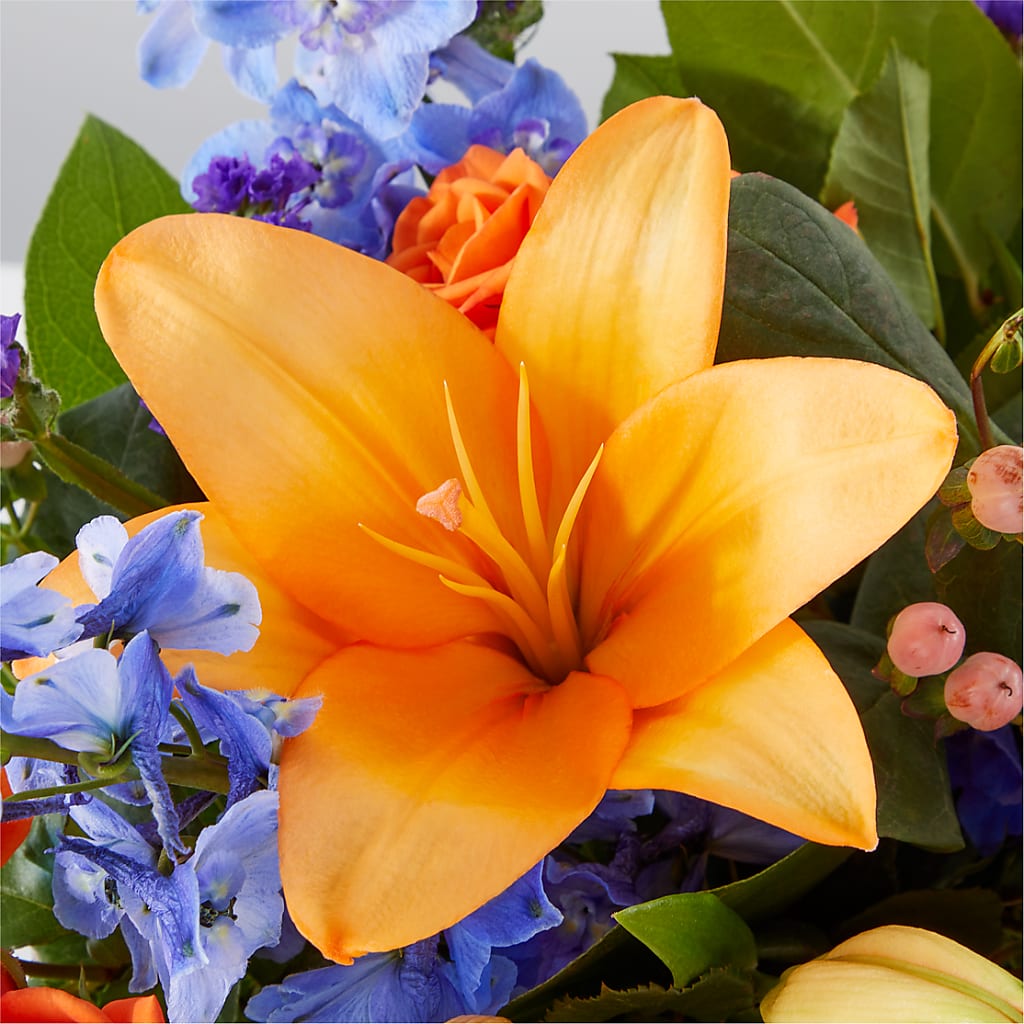 Radiant Citrus Box Bouquet –  Maroa Miami Llc, Miami FL