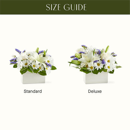 Beyond Blue Box Bouquet –  Maroa Miami Llc, Miami FL