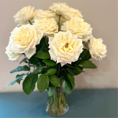 Long Stem Yellow Rose Bouquet –  Maroa Miami Llc, Miami FL