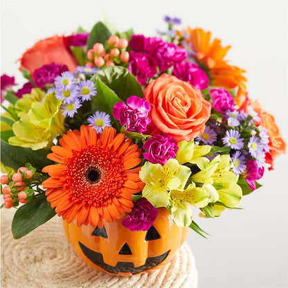 Tricks & Treats Pumpkin –  Maroa Miami Llc, Miami FL