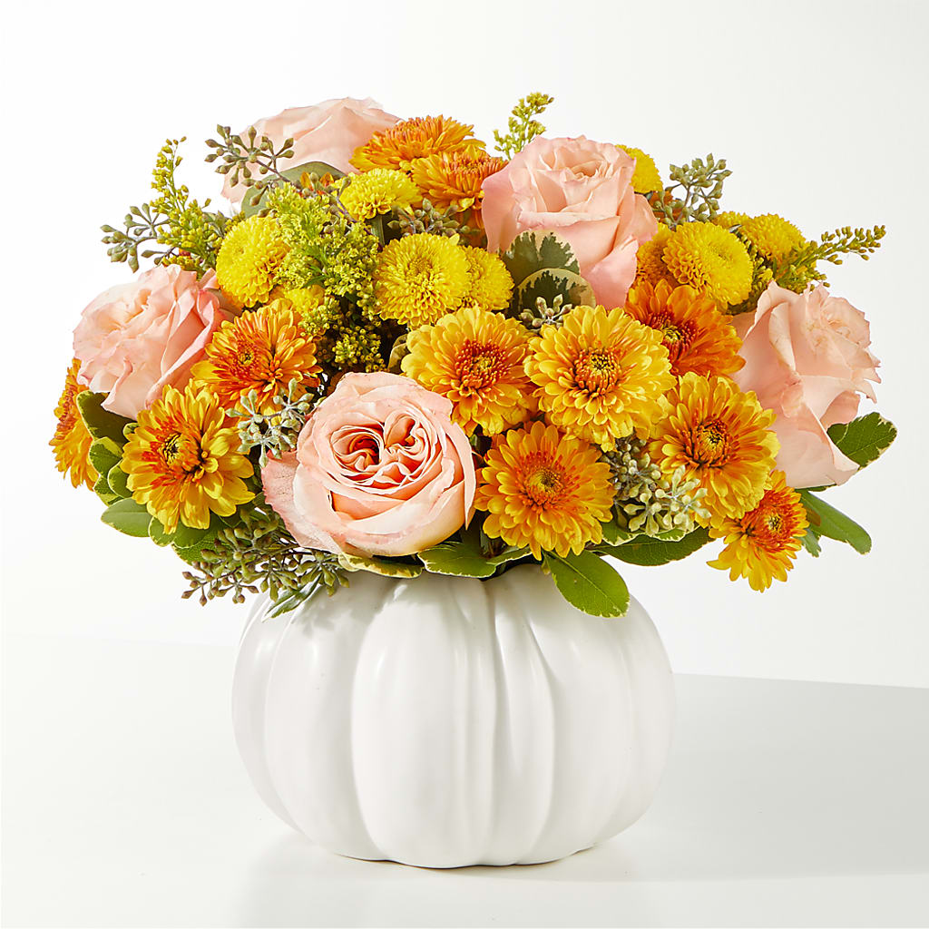 Peachy Pumpkin –  Maroa Miami Llc, Miami FL