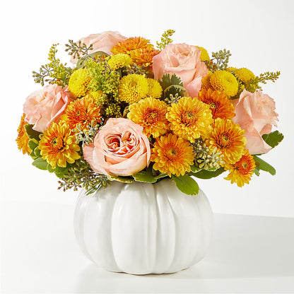 Peachy Pumpkin –  Maroa Miami Llc, Miami FL