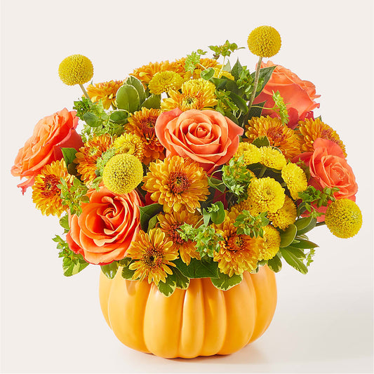 Gourdgeous Pumpkin –  Maroa Miami Llc, Miami FL