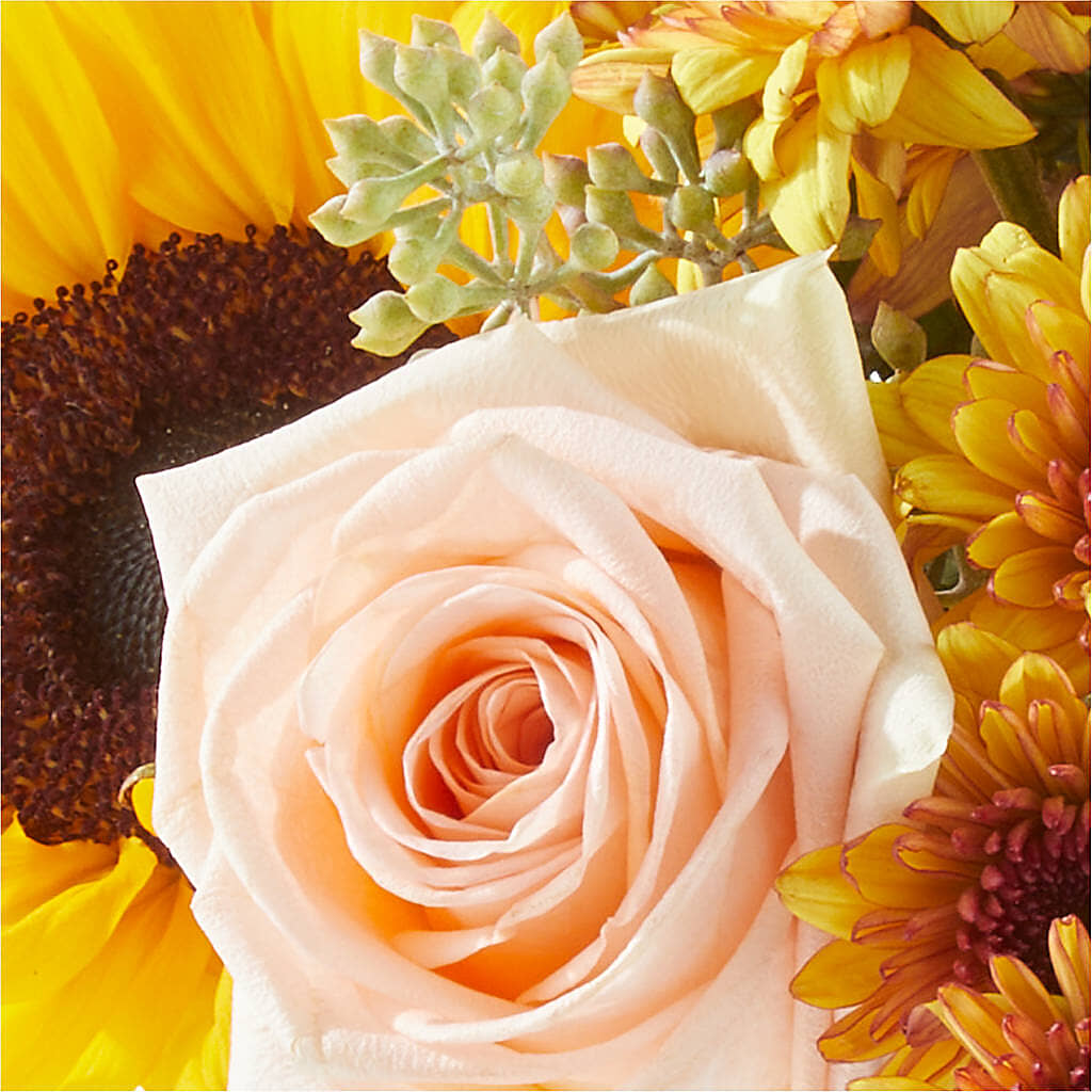 Pumpkin to Talk About Bouquet –  Maroa Miami Llc, Miami FL