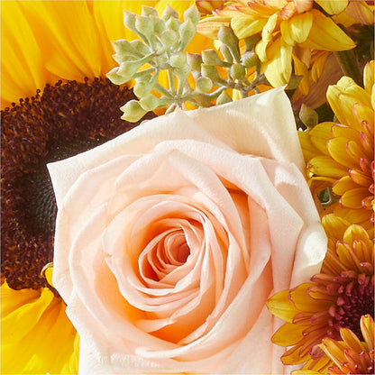 Pumpkin to Talk About Bouquet –  Maroa Miami Llc, Miami FL