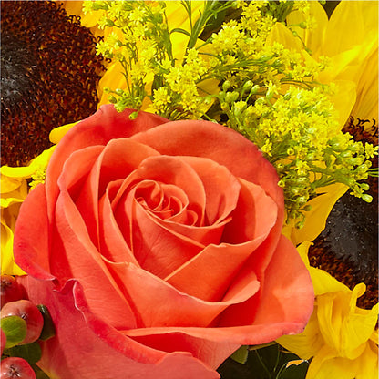 Pick of the Patch Pumpkin Bouquet –  Maroa Miami Llc, Miami FL