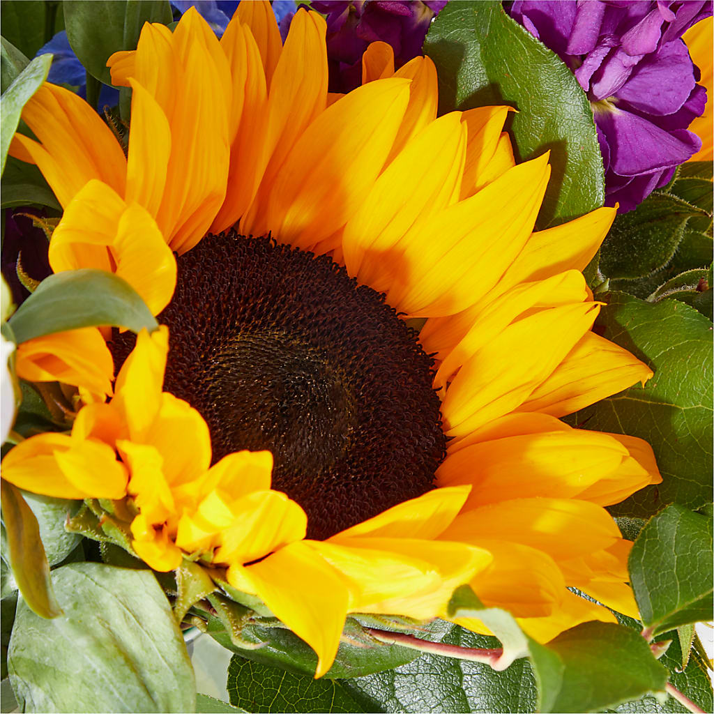 Catching Rays Bouquet –  Maroa Miami Llc, Miami FL