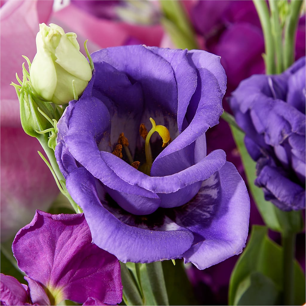 Twilight Glow Bouquet –  Maroa Miami Llc, Miami FL