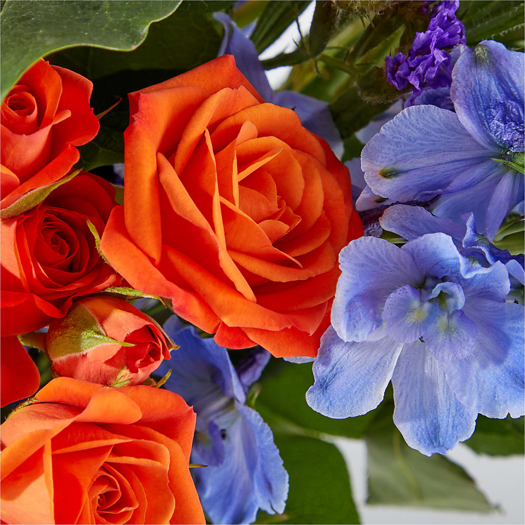Radiant Citrus Bouquet –  Maroa Miami Llc, Miami FL