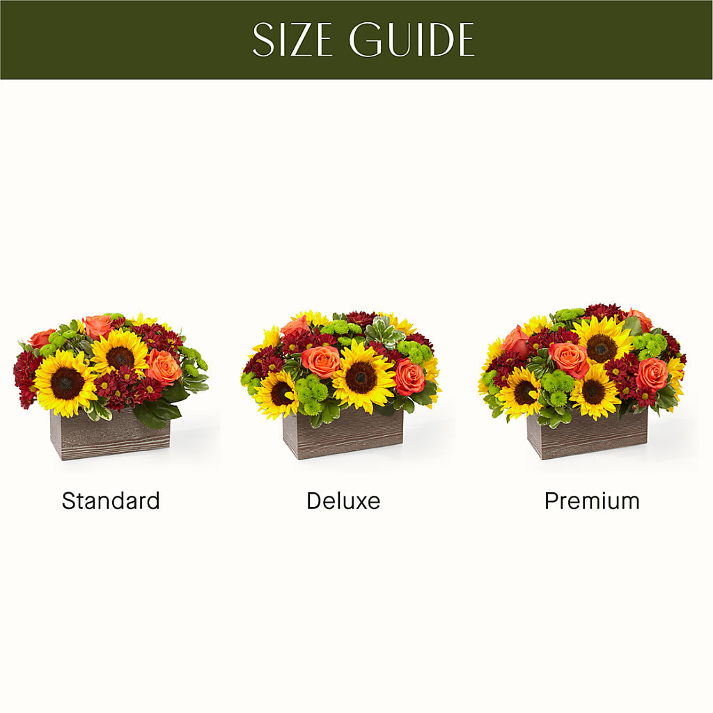 Happy Harvest Garden –  Maroa Miami Llc, Miami FL