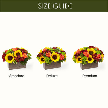 Happy Harvest Garden –  Maroa Miami Llc, Miami FL