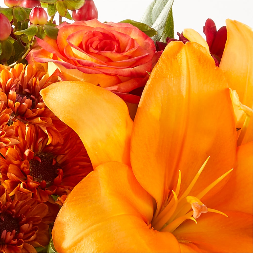 Backyard Bonfire Bouquet –  Maroa Miami Llc, Miami FL