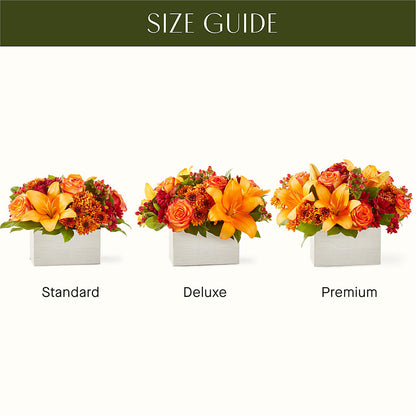 Backyard Bonfire Bouquet –  Maroa Miami Llc, Miami FL