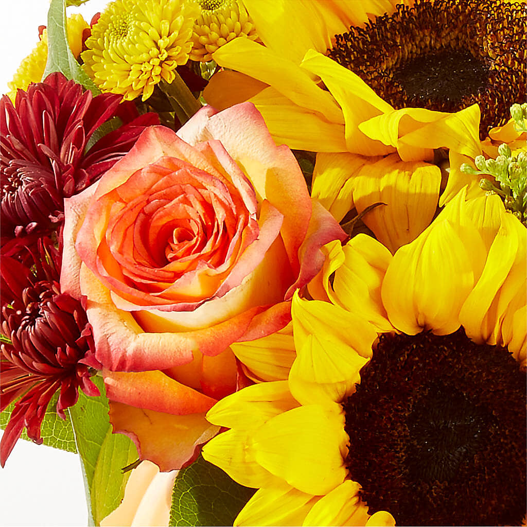Golden Gourd Pumpkin Bouquet –  Maroa Miami Llc, Miami FL