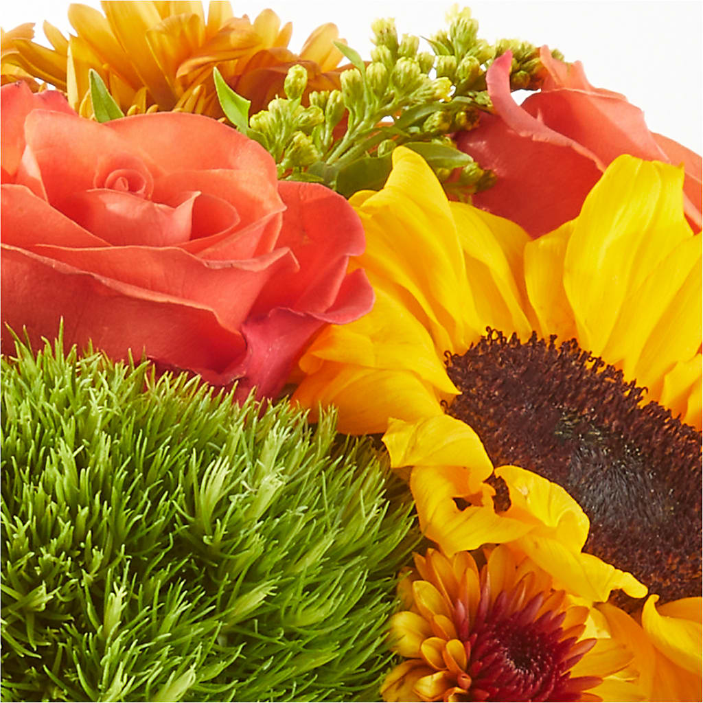 Farmer’s Market Stroll Bouquet –  Maroa Miami Llc, Miami FL