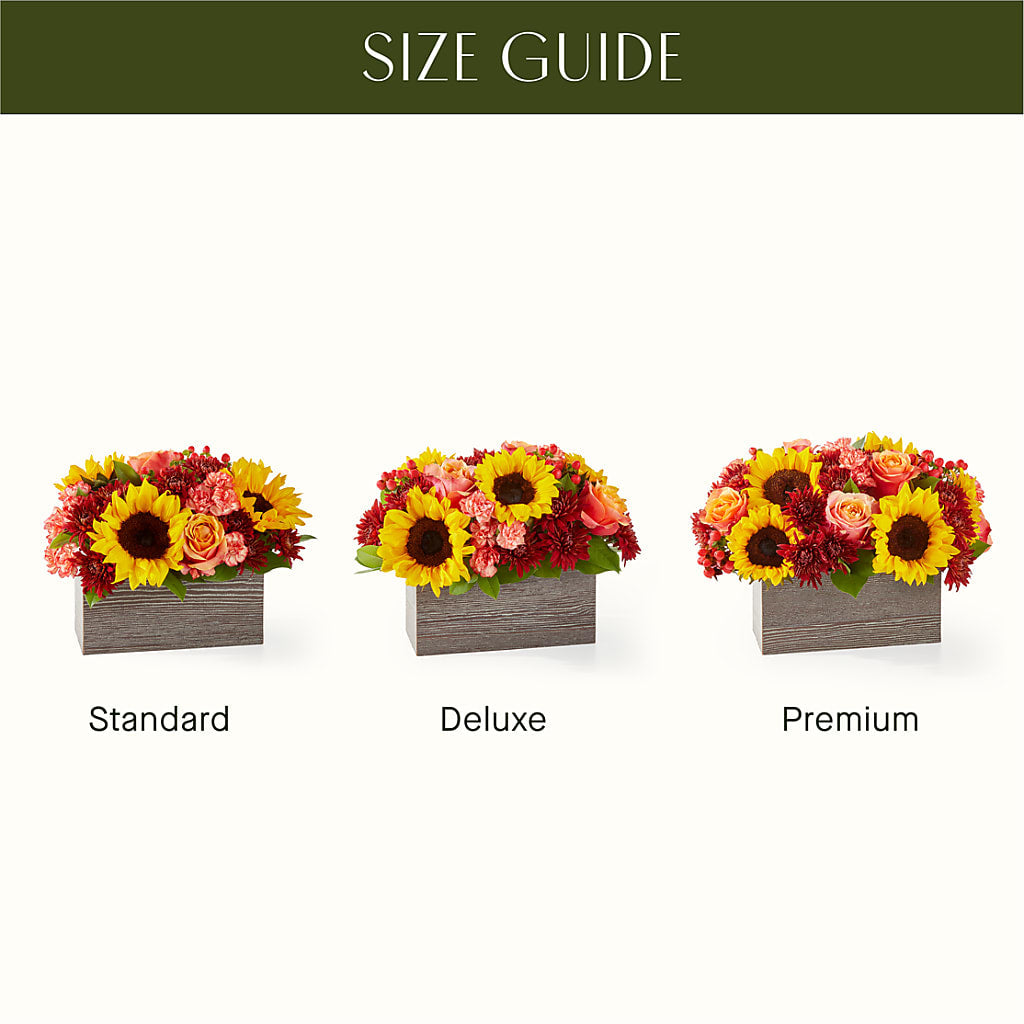 Fresh Cider Bouquet –  Maroa Miami Llc, Miami FL
