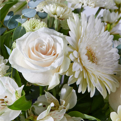 New Beginnings – A Florist Original –  Maroa Miami Llc, Miami FL