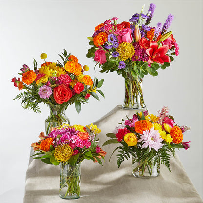Feast of Color – A Florist Original –  Maroa Miami Llc, Miami FL