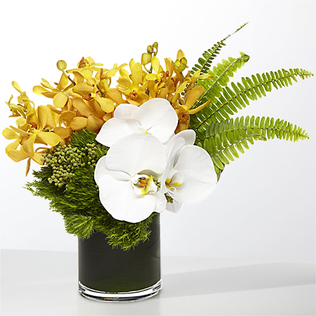 The Tropics –  Maroa Miami Llc, Miami FL