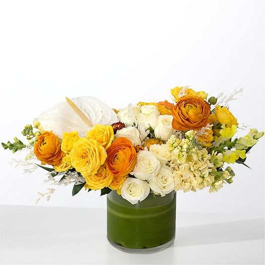 The Optimist –  Maroa Miami Llc, Miami FL