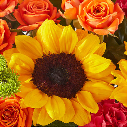 Sun-drenched Blooms Box Bouquet –  Maroa Miami Llc, Miami FL