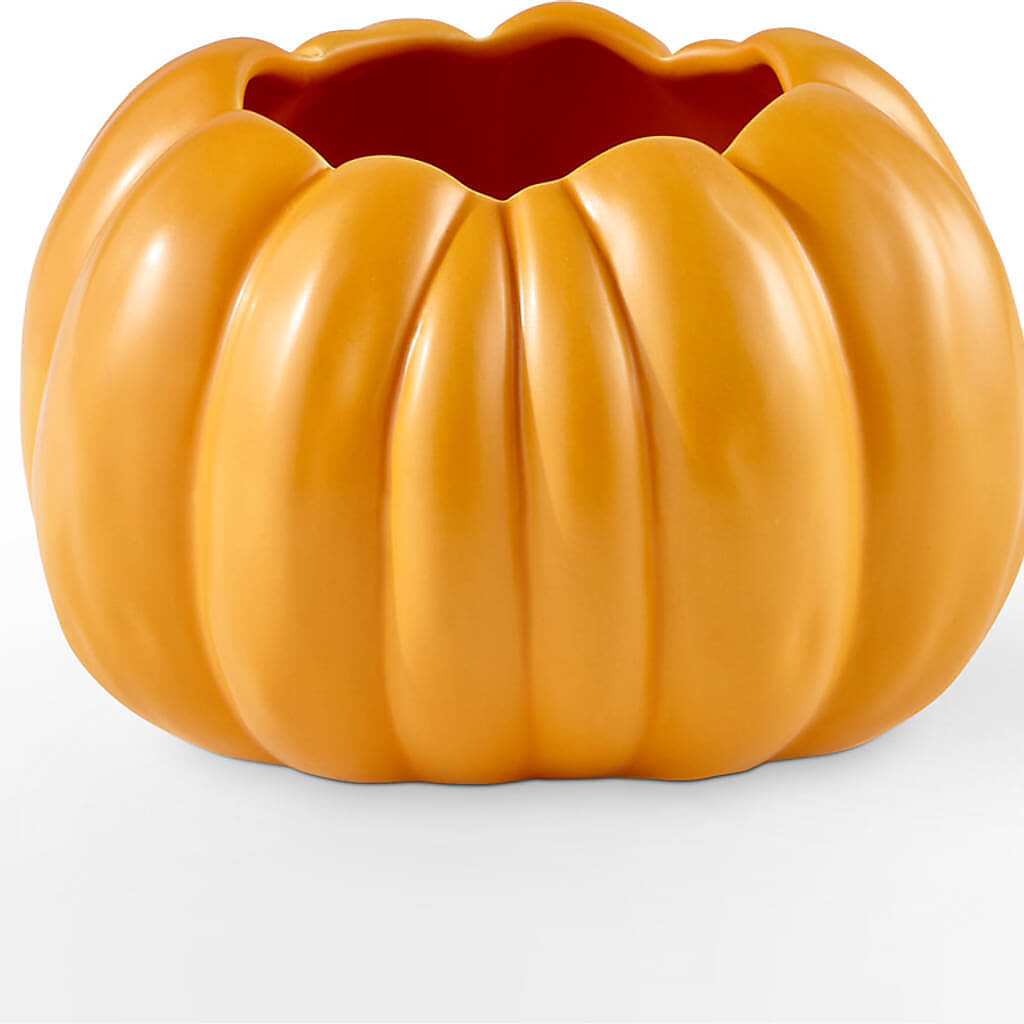 Golden Gourd Pumpkin Bouquet –  Maroa Miami Llc, Miami FL
