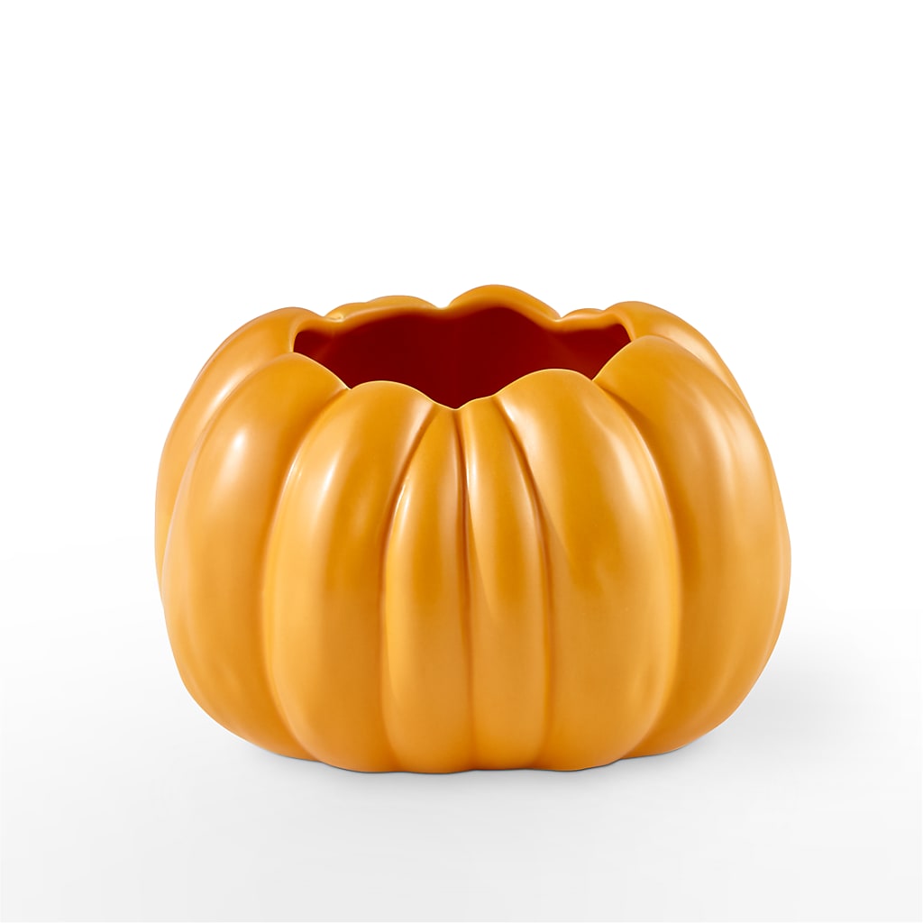 Pick of the Patch Pumpkin Bouquet –  Maroa Miami Llc, Miami FL