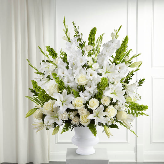 Morning Stars Arrangement –  Maroa Miami Llc, Miami FL