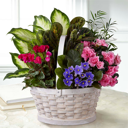 Peaceful Garden Planter –  Maroa Miami Llc, Miami FL