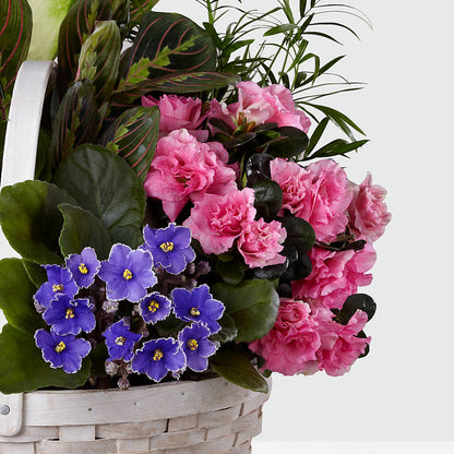 Peaceful Garden Planter –  Maroa Miami Llc, Miami FL
