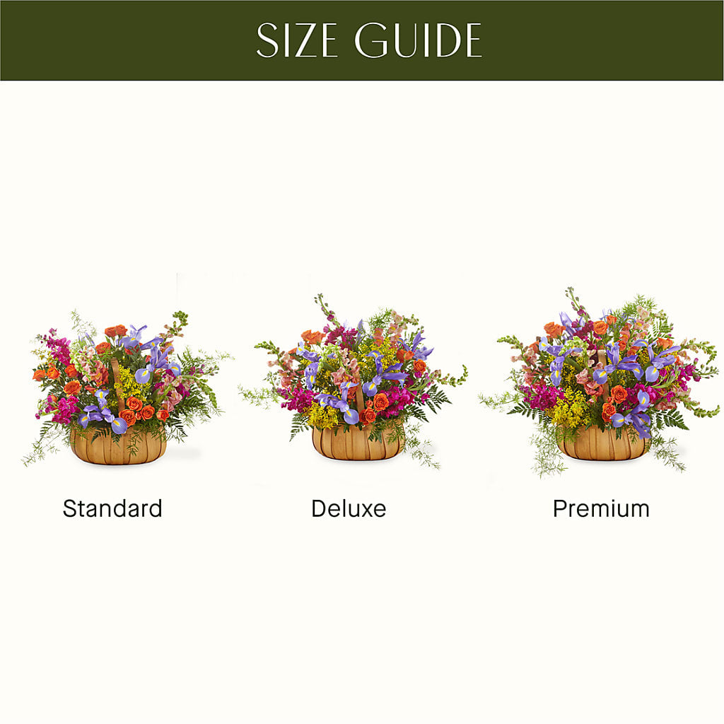 Garden of Life Basket –  Maroa Miami Llc, Miami FL