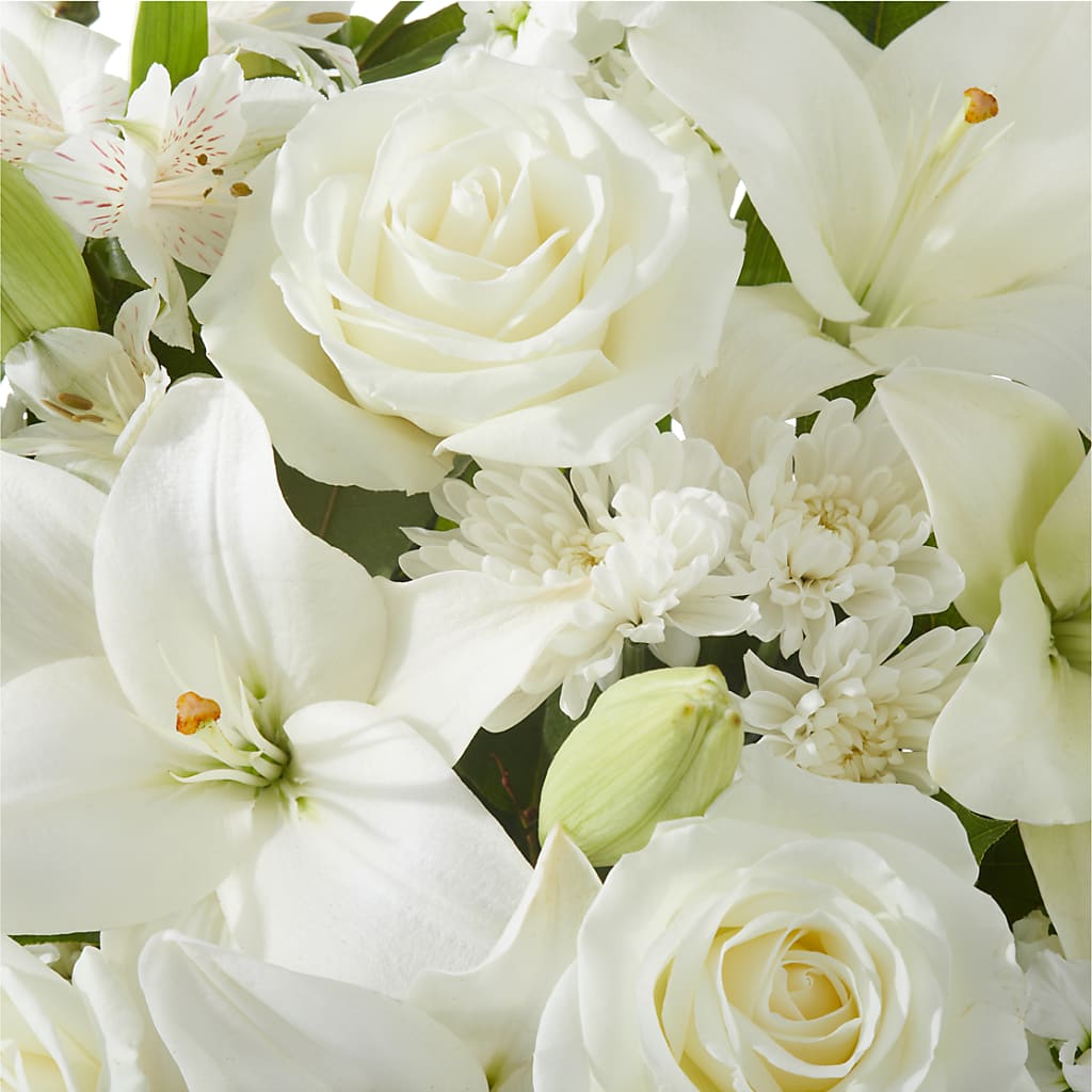 Peaceful Reflections Arrangement –  Maroa Miami Llc, Miami FL