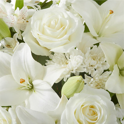 Peaceful Reflections Arrangement –  Maroa Miami Llc, Miami FL