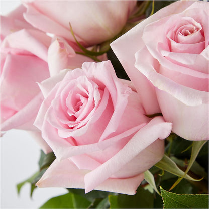 Picture Perfect Pink Rose Bouquet –  Maroa Miami Llc, Miami FL