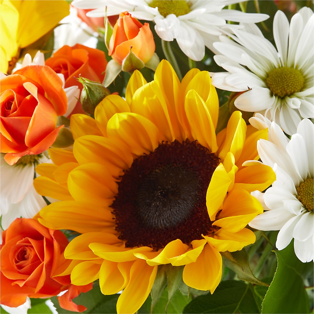 Sun-drenched Blooms Bouquet –  Maroa Miami Llc, Miami FL
