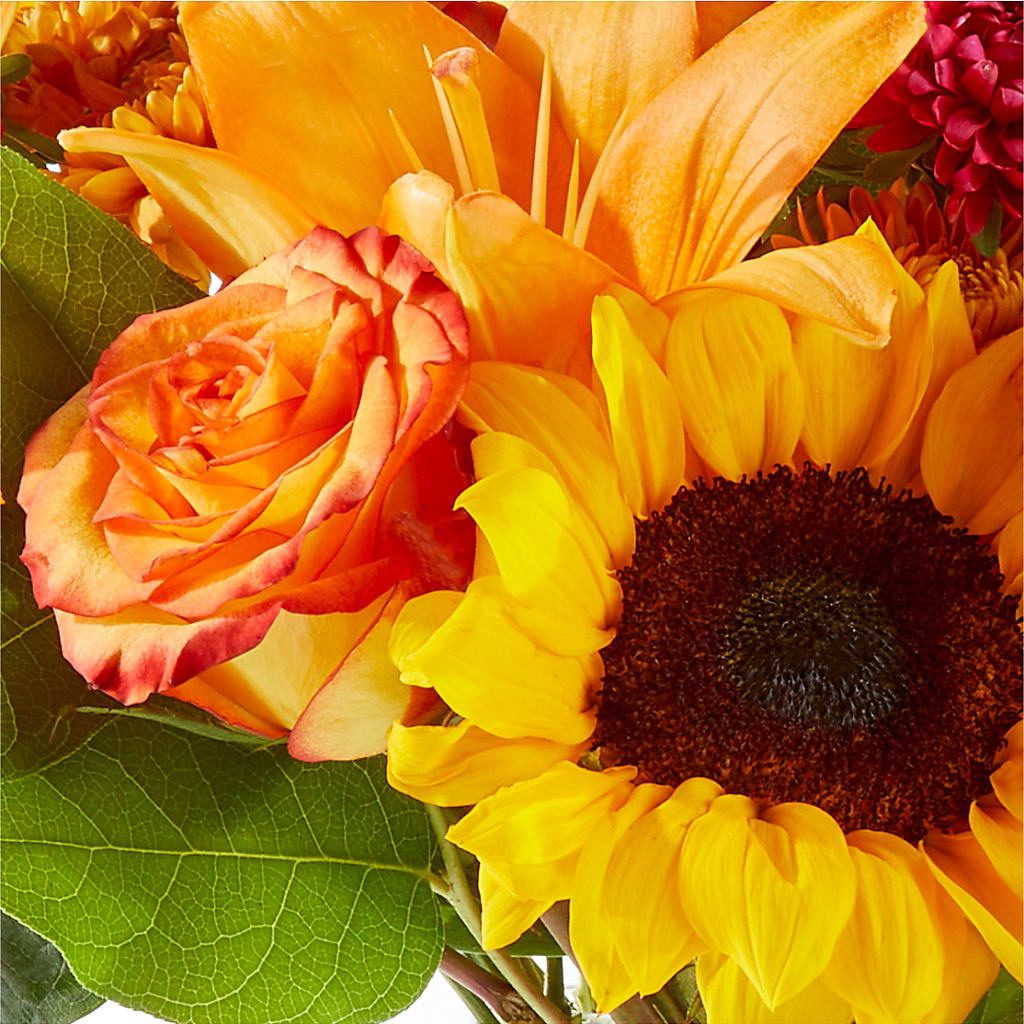 Fall Day Bouquet –  Maroa Miami Llc, Miami FL
