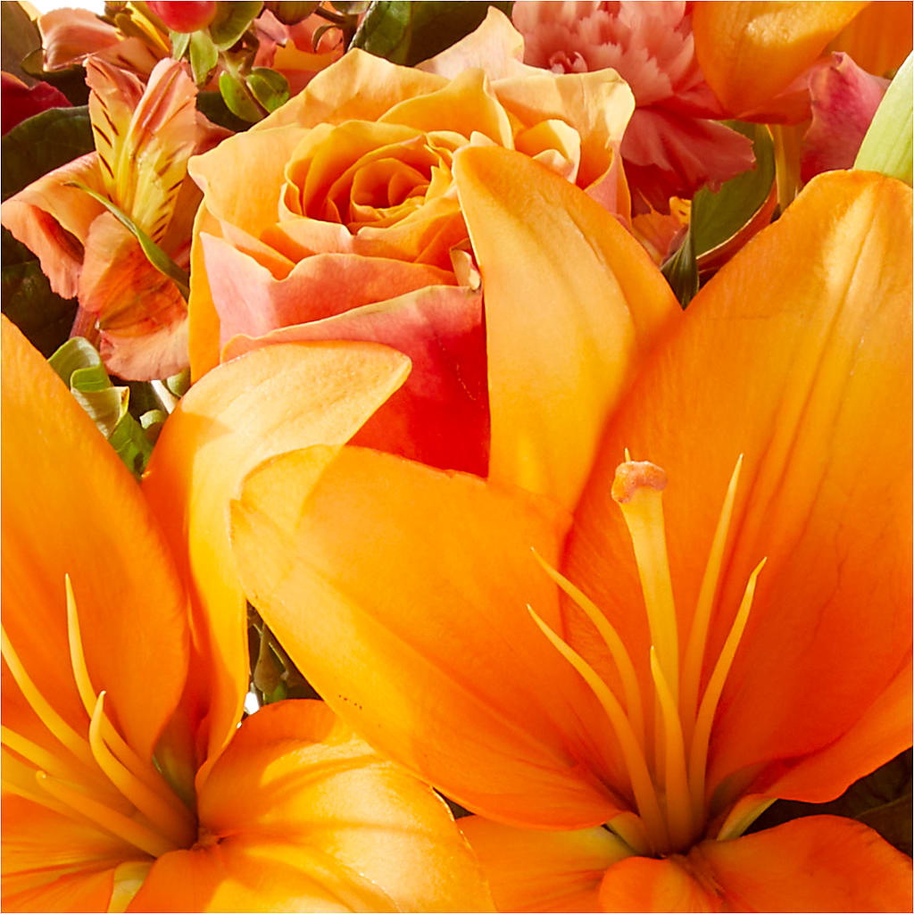 Afternoon Light Bouquet –  Maroa Miami Llc, Miami FL
