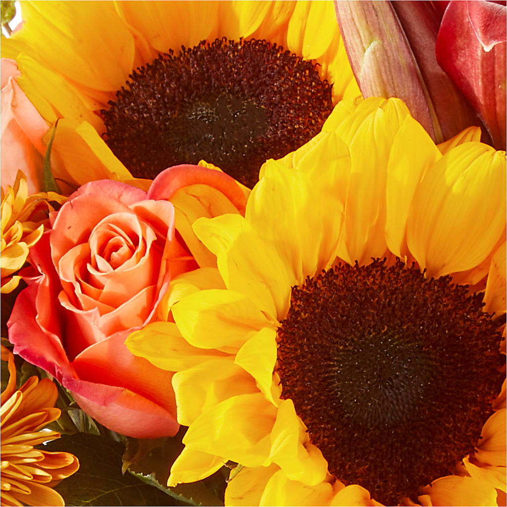 Acorn Lane Bouquet –  Maroa Miami Llc, Miami FL