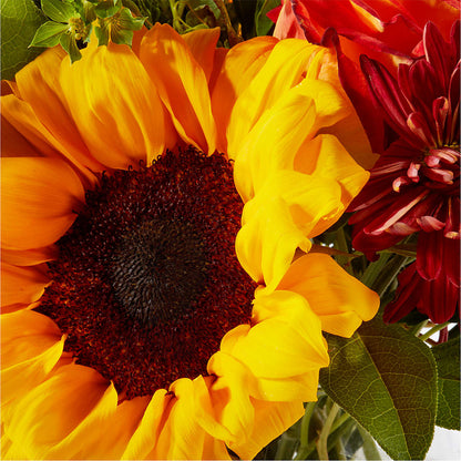 Harvest Festival Bouquet –  Maroa Miami Llc, Miami FL