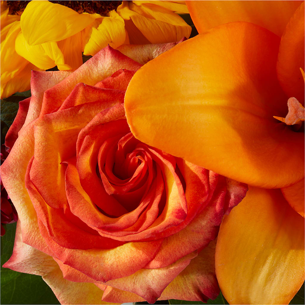 Grateful Centerpiece –  Maroa Miami Llc, Miami FL