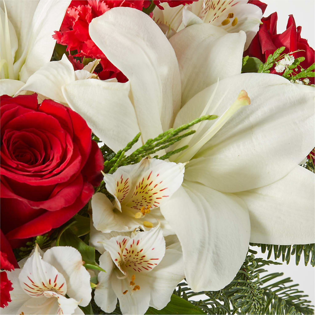 Holiday Season Bouquet –  Maroa Miami Llc, Miami FL