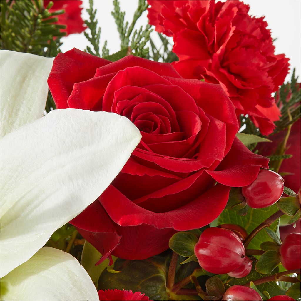 Oh So Jolly Bouquet –  Maroa Miami Llc, Miami FL