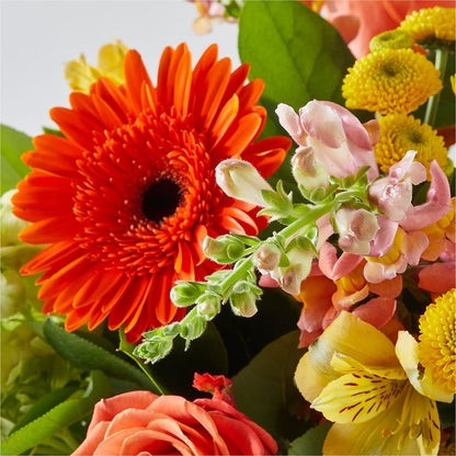Autumn Sunshine Bouquet –  Maroa Miami Llc, Miami FL