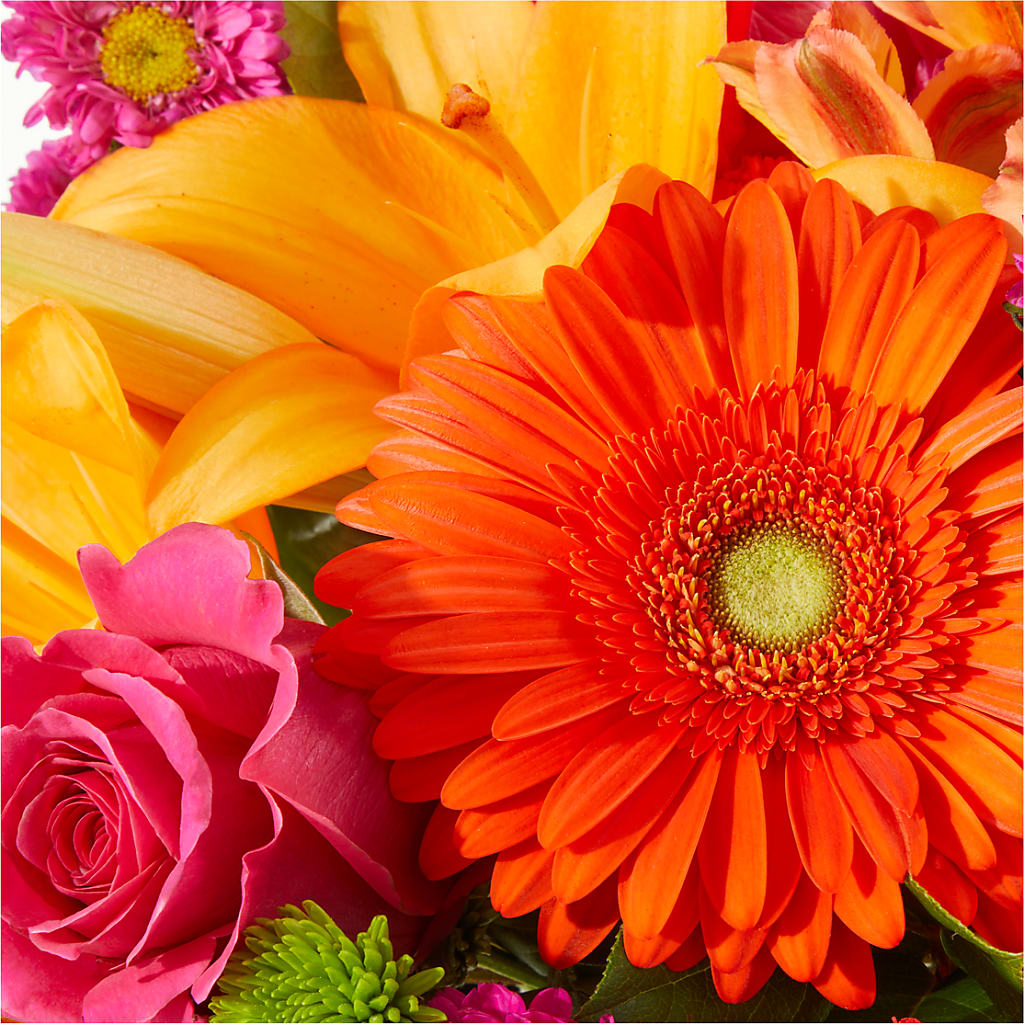 Soiree Bouquet –  Maroa Miami Llc, Miami FL