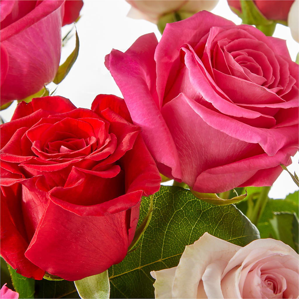 Charming Rose Bouquet –  Maroa Miami Llc, Miami FL