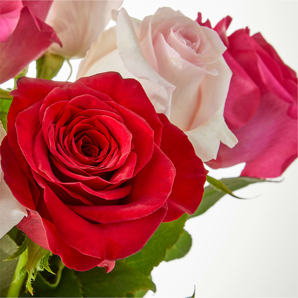 Charming Rose Bouquet –  Maroa Miami Llc, Miami FL