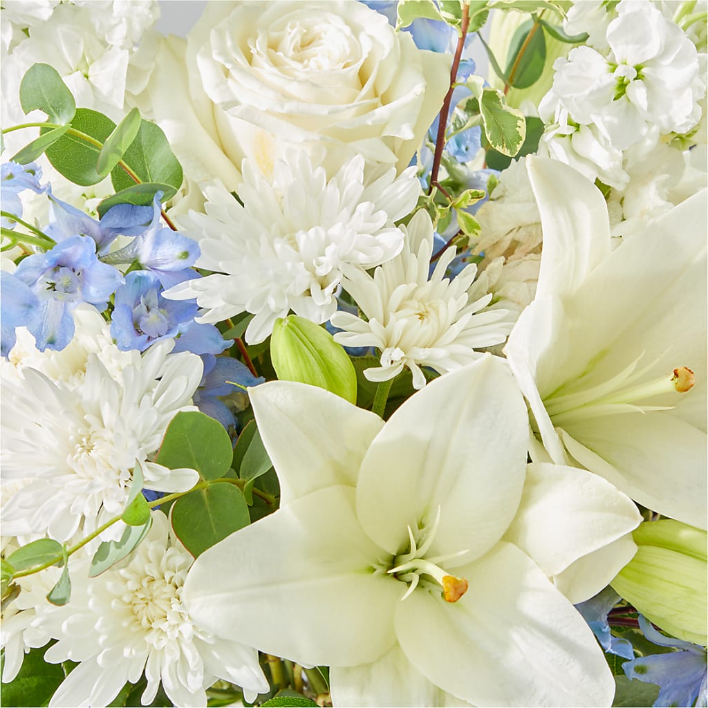 Peace of Mind Bouquet –  Maroa Miami Llc, Miami FL